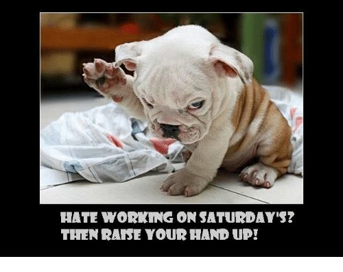 Saturday Memes| What can be more painful than working on a ...