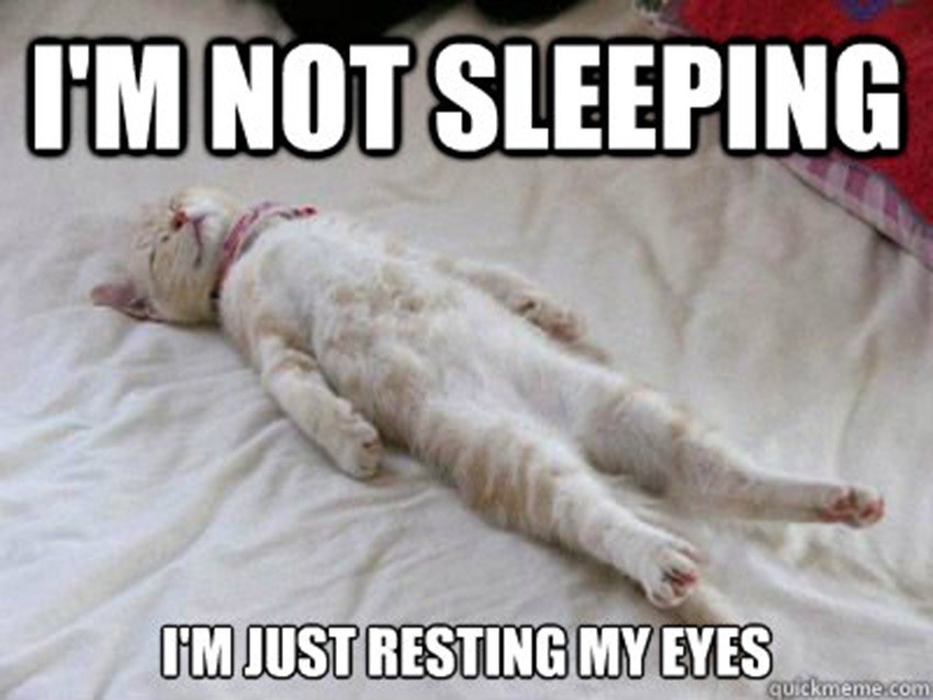 45+ funny sleep memes because it's way past bedtime
