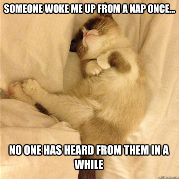 45+ funny sleep memes because it's way past bedtime