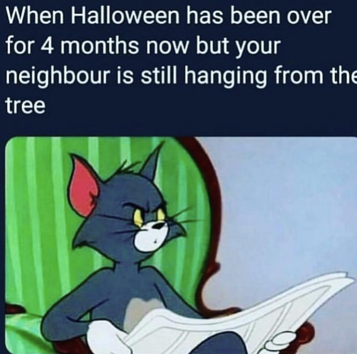 The Spookiest And Happy Halloween Funny Memes Of 2019